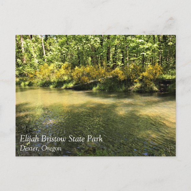 Elijah Bristow State Park, Dexter, Oregon Postcard Vykort (Framsida)