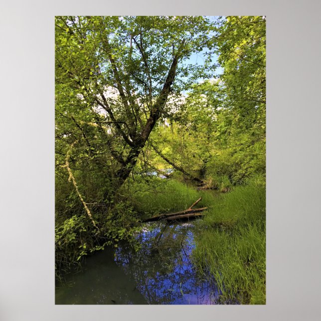 Elijah Bristow State Park, Dexter, Oregon Poster (Framsidan)