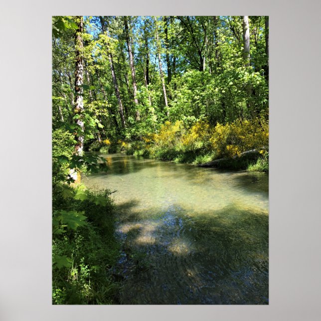 Elijah Bristow State Park, Dexter, Oregon Poster (Framsidan)