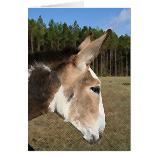 Elijah Card OBS Kort