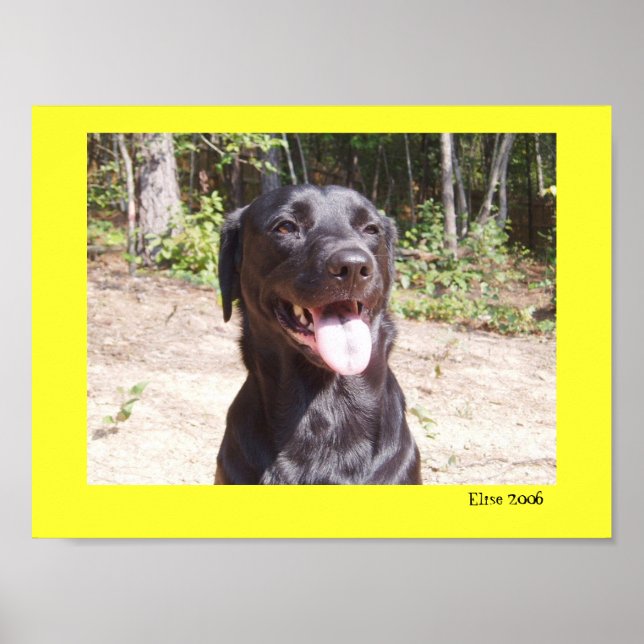 Elise 2006 poster (Framsidan)