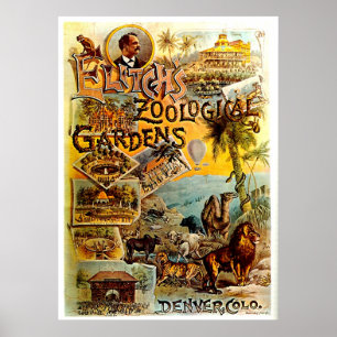 Elitch's Zoo - Skriv ut Poster