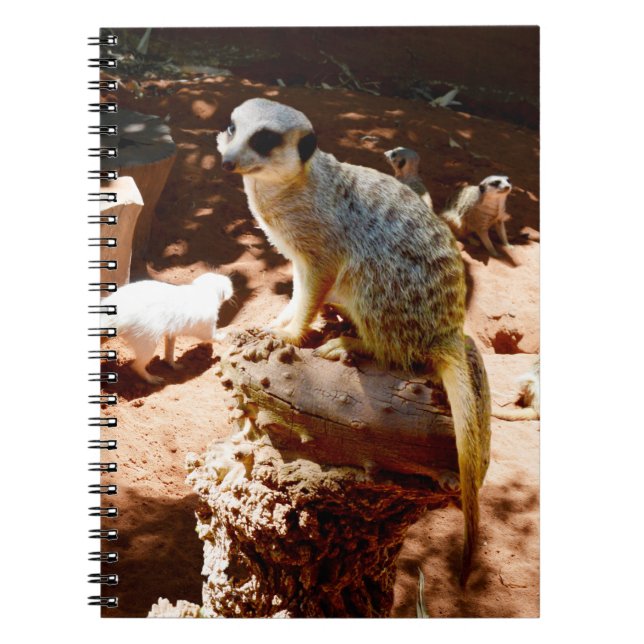 Eliza Queen of the Meerkats, Notebook Anteckningsbok (Framsidan)