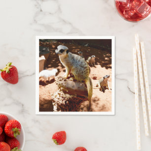 Eliza Queen of the Meerkats, Pappra Party Napkins Pappersservett