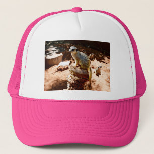 Eliza Queen of the Meerkats, Truckers Hat Keps