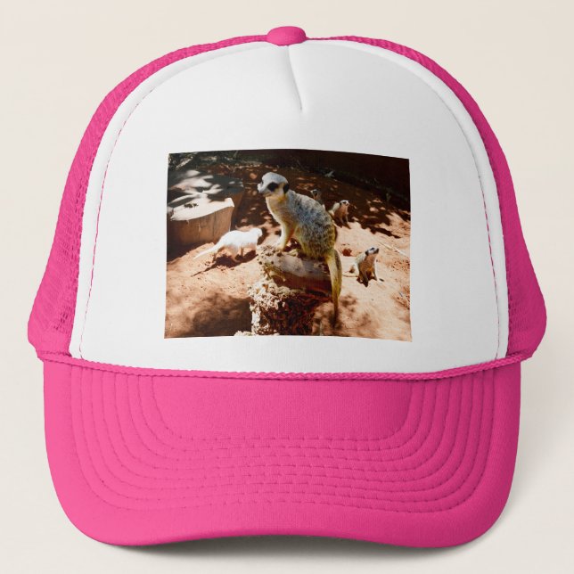 Eliza Queen of the Meerkats, Truckers Hat Keps (Framsida)