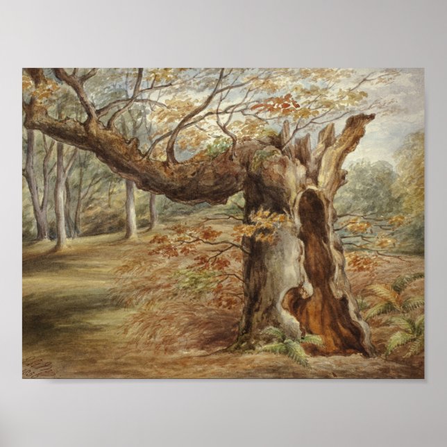 Elizabeth Murray - Rotting Träd Poster (Framsidan)