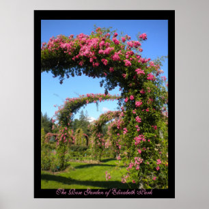 Elizabeth Park Garden i Ro Poster