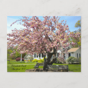 Elizabeth Park, Hartford, CT-vykort Vykort