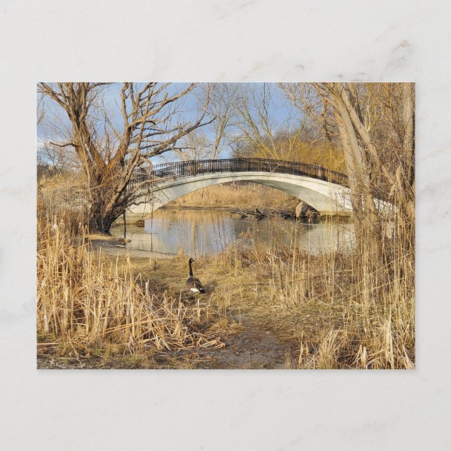 Elizabeth Park, Trenton, Michigan Vykort (Framsida)