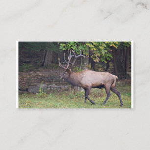 Elk 2 visitkort
