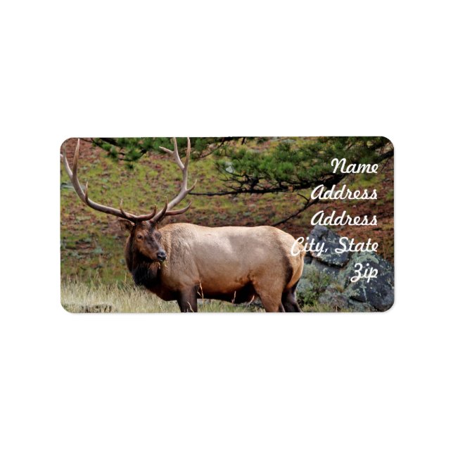 Elk Adress Sticker Adressetikett (Framsidan)