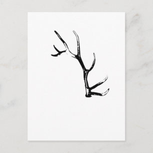 Elk Antler Vykort
