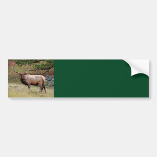 Elk Background Bumper Sticker Bildekal