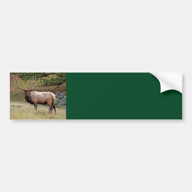 Elk Background Bumper Sticker Bildekal (Framsidan)