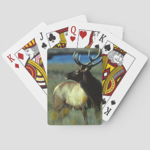 Elk Bicycle Spelkort