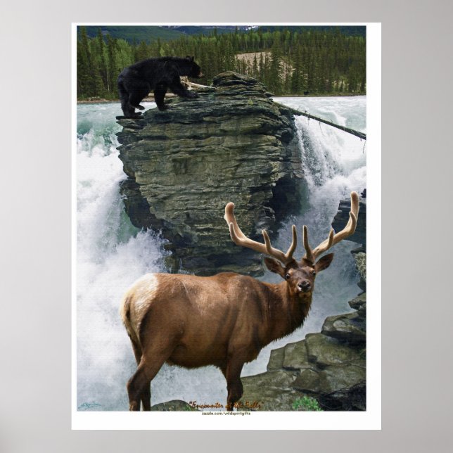 Elk & Black Bears Wildlife Art Poster (Framsidan)