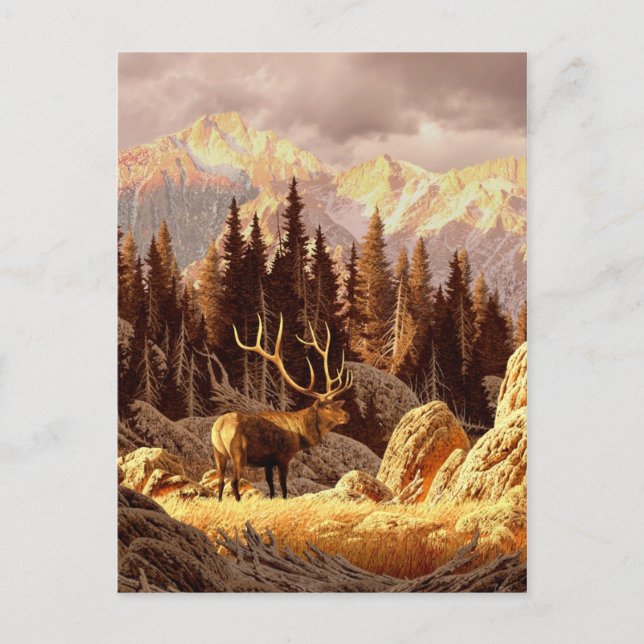 Elk Bull Vykort (Framsida)