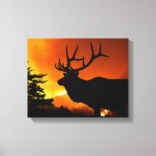 Elk Canvastryck