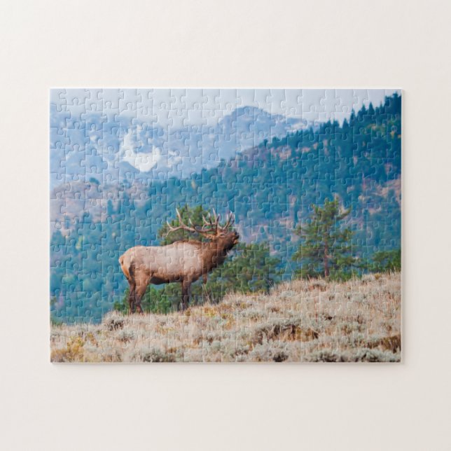Elk (Cervus Elephus) Bull Bugling Pussel (Horisontell)