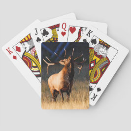 Elk Charging Casinokort