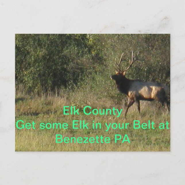 Elk County Benezette PA Vykort (Framsida)
