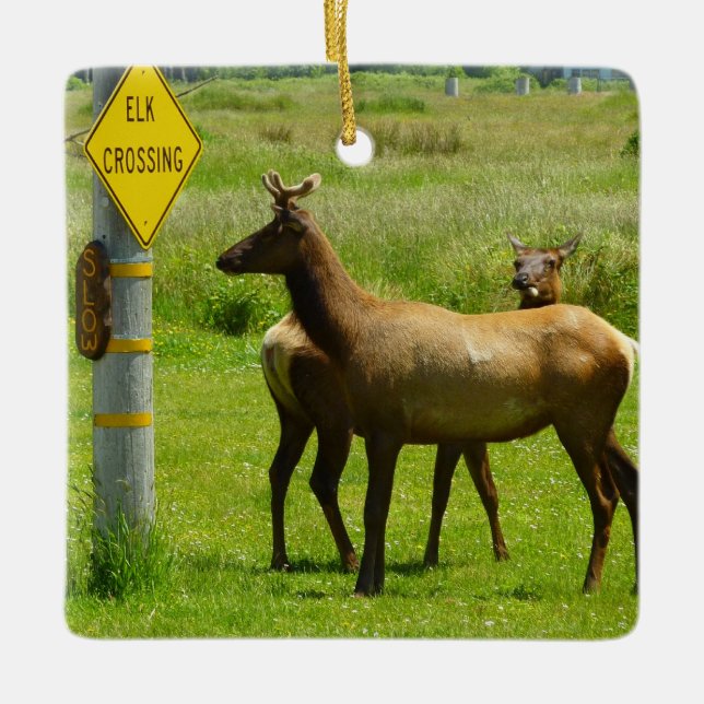 Elk Crossing California Wildlife Julgransprydnad Keramik (Framsida)