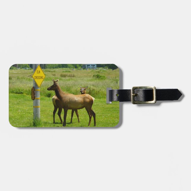 Elk Crossing California Wildlife Photography Bagagebricka (Horisontell Framsida)