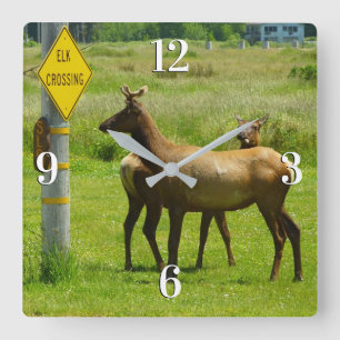 Elk Crossing California Wildlife Photography Fyrkantig Klocka