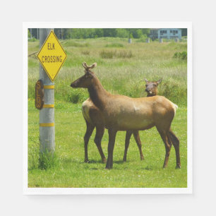 Elk Crossing California Wildlife Photography Pappersservett