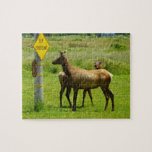 Elk Crossing California Wildlife Photography Pussel (Horisontell)