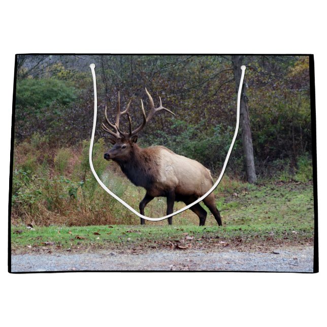 Elk Gift Bag (Framsidan)
