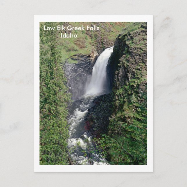 Elk Grekiska Falls, Idaho Vykort (Framsida)