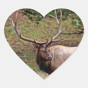 Elk Heart Sticker Hjärtformat Klistermärke