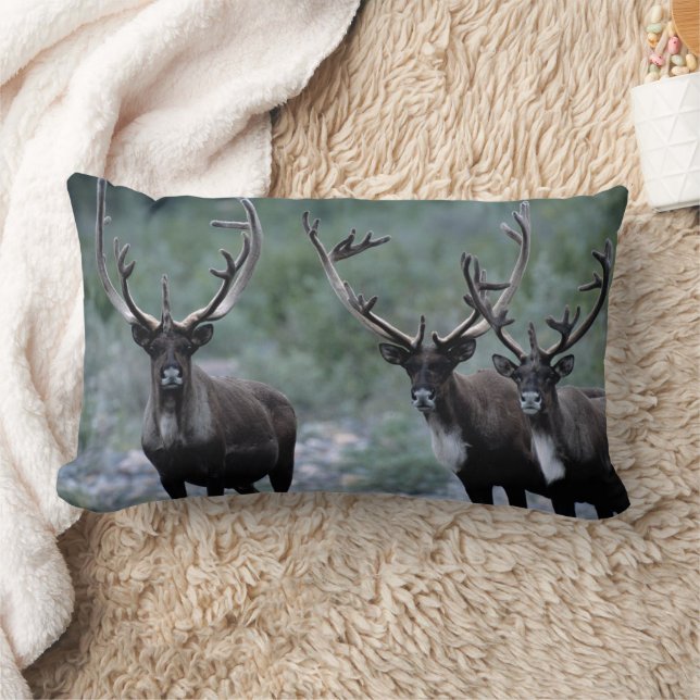 Elk Herd | Mt. Baring, Washington Lumbarkudde (Filt)
