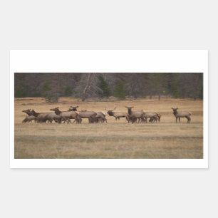 Elk Herd Rectangle Sticker Rektangulärt Klistermärke