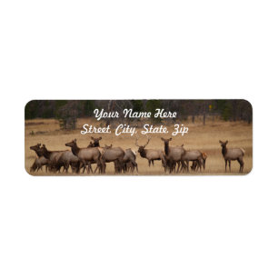 Elk Herd Returadress Sticker Etikett