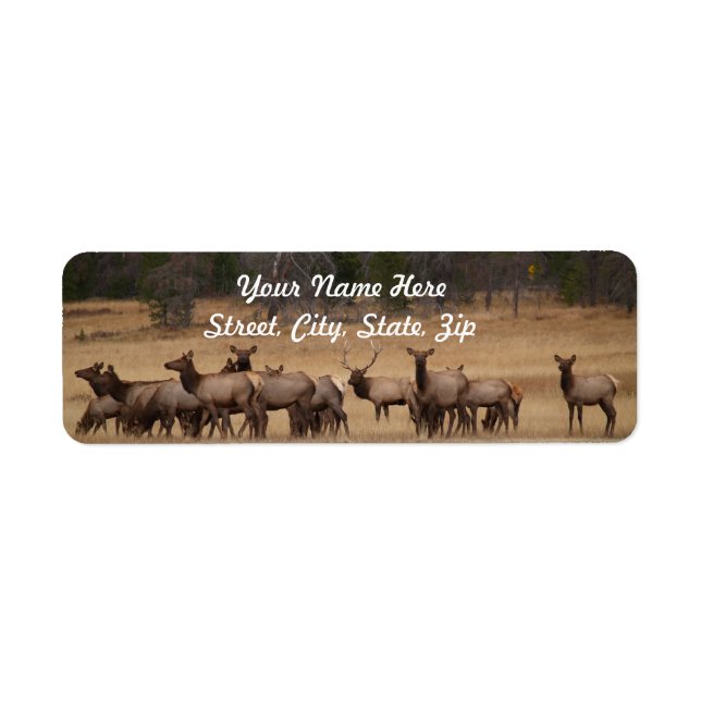 Elk Herd Returadress Sticker Returadress Etikett (Framsidan)