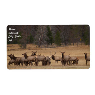 Elk Herd Shipping Label Fraktsedel