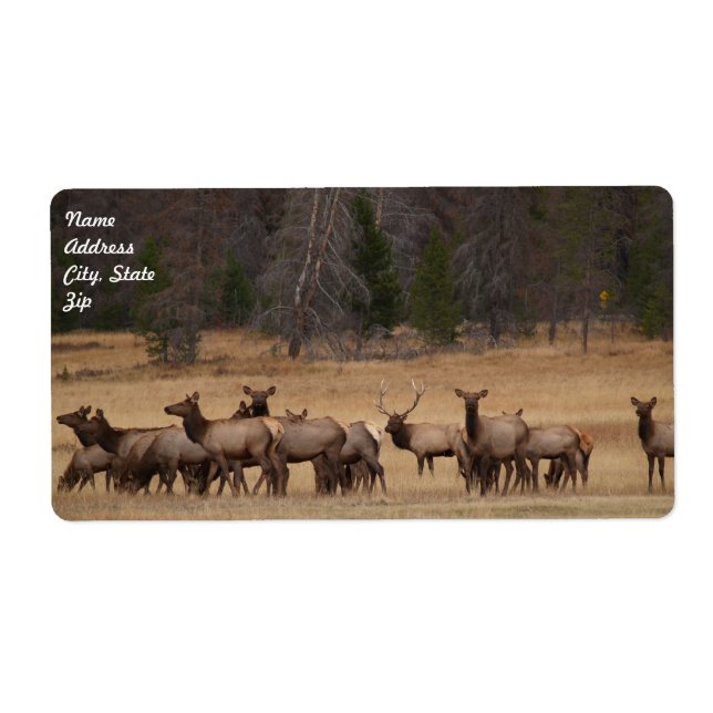 Elk Herd Shipping Label Fraktsedel (Framsidan)