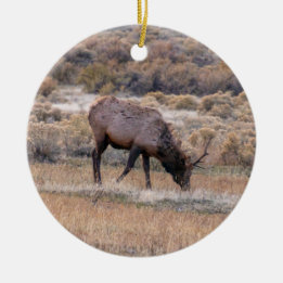 Elk Hjort Ornament