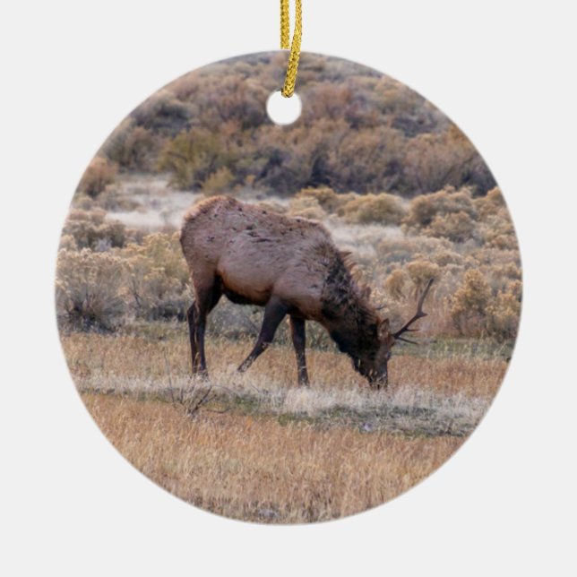 Elk Hjort Ornament (Framsidan)