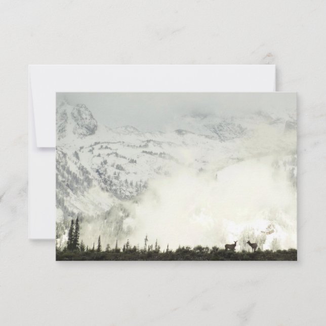 Elk i Grand Teton National Park-foto (Framsida)