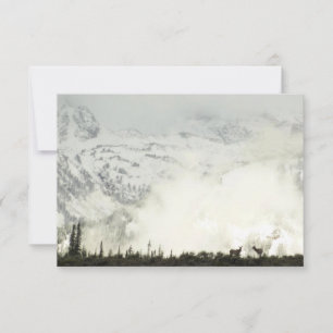 Elk i Grand Teton National Park-foto