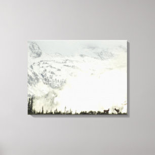Elk i Grand Teton National Park-foto Canvastryck