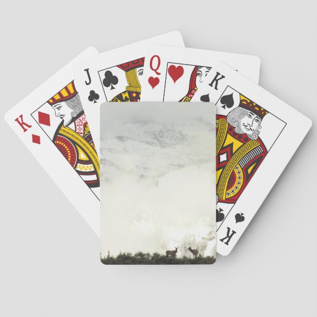 Elk i Grand Teton National Park-foto Casinokort (Baksidan)