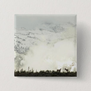 Elk i Grand Teton National Park-foto Knapp