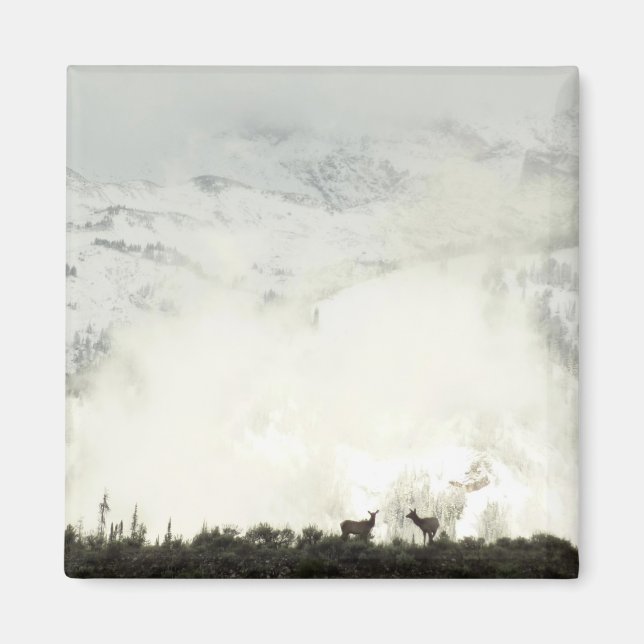 Elk i Grand Teton National Park-foto Magnet (Framsidan)