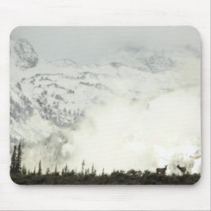 Elk i Grand Teton National Park-foto Musmatta