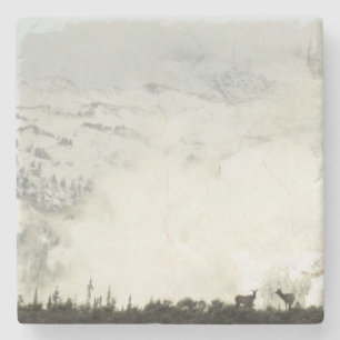 Elk i Grand Teton National Park-foto Stenunderlägg